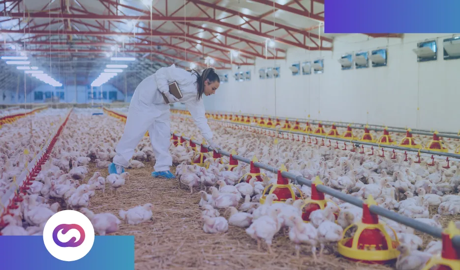 poultry farm granjas avicolas plataforma iot iot platform soluciones iot iot solutions granja avicola granja avícola