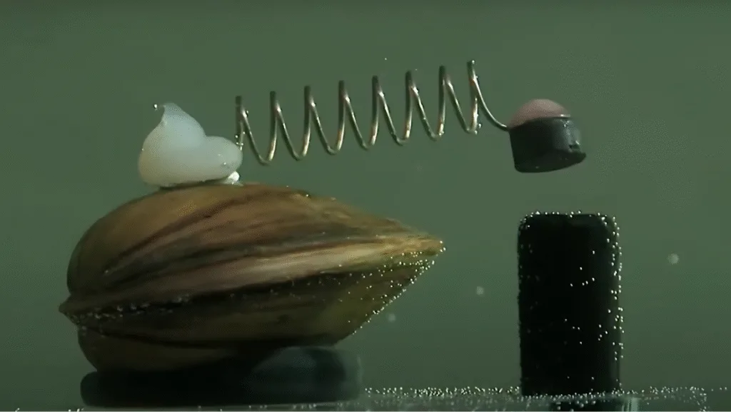 Purificación con almejas | Integración de sistemas | Cloud Studio